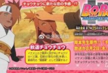 《火影忍者：博人傳之火影次世代》動畫小蝶篇 化蝶姿態瀟灑颯爽-頭條楓林網