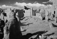 西域群墓中竟然沉睡了中原人，木棺下還刻著神秘標誌-頭條楓林網