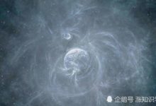 生態環境告急，地球或正在透支生命，而且它也是受害者-頭條楓林網