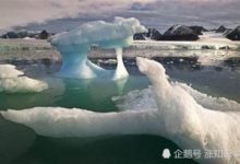 CO2濃度過高只使得溫度上升？或可引發生命大滅絕-頭條楓林網