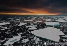 全球變暖導致生態圈滅亡，第一個倒霉的竟然是這個地區！-頭條楓林網