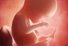 嬰兒牙齒髮育是否緩慢，取決於孕期吃的這種東西！-頭條楓林網