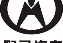 兩匹野馬對決商標訴訟，中國野馬勝出，福特致歉賠償！-頭條楓林網