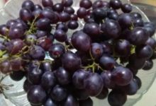 1斤葡萄8兩酒，她做的葡萄酒太香，開蓋就被搶光了！-頭條楓林網