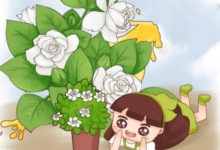 米蘭茉莉···加點料，開花200朵，香氣滿天飛！-頭條楓林網