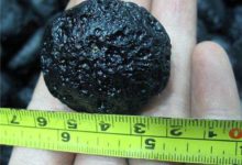 隕石並不是一個好的收藏品，因為賣隕石的大部分是騙子-頭條楓林網