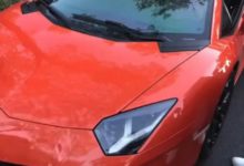 金毛鬧市撒歡飛奔，與豪車相撞，結果慘烈，豪車被毀容-頭條楓林網