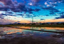 速報！日本暴雨49人死亡，48人下落不明，政府通知141萬人緊急避難！-頭條楓林網