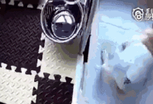 娘的孩兒你只要不吃屎了，想吃啥你就說吧！-頭條楓林網