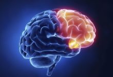 人腦冷凍有機會復活？科學家也想知道人類死亡後去了哪裡-頭條楓林網