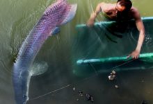 男子河邊意外捕獲一條200斤龍魚，結果卻是「億年史前巨獸」！-頭條楓林網