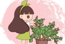 現在不修剪，你的花還想活過夏天？ 做夢！-頭條楓林網