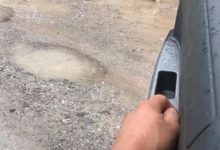 土狗站在雨中一動不動，朋友道出原因後，網友忍不住哭的眼淚直掉-頭條楓林網