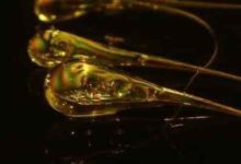 普通玻璃竟能承受巨大的壓力，研究者終於解開魯伯特眼淚之謎-頭條楓林網