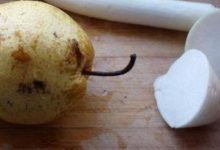 天然止咳水：不管咳多狠，只需1口，咳嗽立馬消！治1個好一個-頭條楓林網