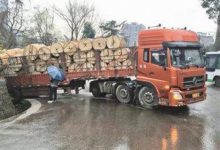 貨車事故那麼頻繁，為什麼還不裝倒車影像？-頭條楓林網