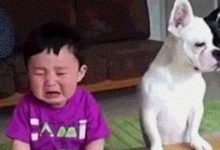 喵星人質檢員現場檢驗，嚴把牛奶質量關-頭條楓林網