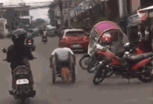 當你無助的時候，記得還有它在默默愛著你……-頭條楓林網