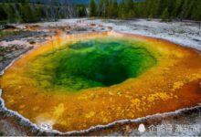 黃石公園或面臨大災難？科學家已作出警示，後果十分嚴重-頭條楓林網