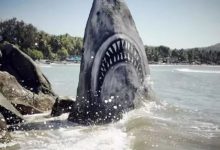 沙灘上的大鯊魚，給石頭噴一噴漆，無數遊客拍照-頭條楓林網