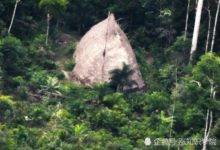 叢林中的神秘種族，可能是食人族？還發現各種原始工具-頭條楓林網