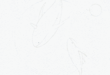 如何繪製出小清新風格的插畫？-頭條楓林網