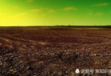 火星上能夠種植作物嗎？科學家們給出解題新思路-頭條楓林網