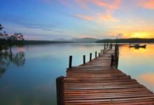 家庭教育指導師每日早讀分享一-頭條楓林網