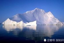 北冰洋變「北大洋」？氣候學家：冰的消失與加州山火關係密切-頭條楓林網