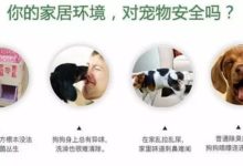 日常清潔用這款消毒液拖地吧，不僅好用而且特別實惠！-頭條楓林網