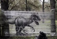 在樹林里塗鴉的正確打開方式：拉張塑料膜隨便噴-頭條楓林網