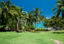 該國原本沒有兔子，英國人帶來27隻兔子後繁殖成百億，愁煞當地人-頭條楓林網