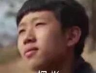 嗅聞10分鐘=跑步1小時，在家就能讓狗狗釋放精力的好辦法！|好物-頭條楓林網