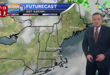 小泰迪誤闖直播，難道是想當一回主播！-頭條楓林網