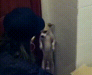 狗子被罰站，突然發現有隻蟲子...據說這是小時候的你！-頭條楓林網