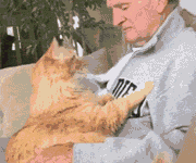 國外一女主表示，這位金髮女郎，總喜歡依偎在她老公懷裡，而她...-頭條楓林網