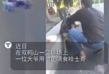 相伴13年！老狗狗牙齒退化不能咀嚼，七旬老人蹲地用勺子耐心喂飯……-頭條楓林網