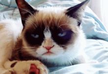 為什麼她做牙齒矯正只要七千？-頭條楓林網