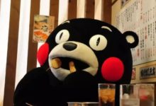 一篇《異煙肼毒狗》，教唆十幾萬人毒狗！-頭條楓林網