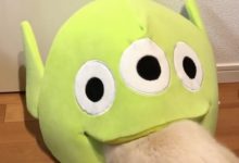 主人找不到貓咪，回頭一看竟發現它被外星人吃掉了？網友：我也想要同款吃貓外星人-頭條楓林網