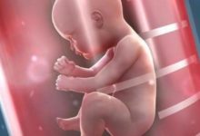 如果你遲遲懷不上，會做試管嬰兒嗎？網友的話道盡了多少人的心酸-頭條楓林網