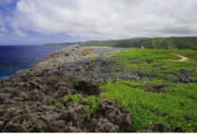 日本這11座貓島，聽說人氣已經蓋過了奈良小鹿…-頭條楓林網