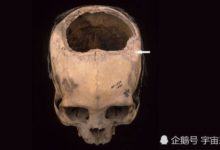 千年前印加人擁有先進的顱外科技術，人類歷史並不簡單-頭條楓林網