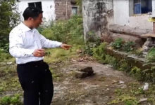 太不可思議啦！外國小夥養蜜蜂，一個月能賺8000萬。-頭條楓林網