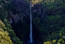 家長該不該陪孩子寫作業？-頭條楓林網