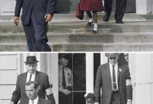 毫無PS痕迹：高手著色的黑白老照片-頭條楓林網