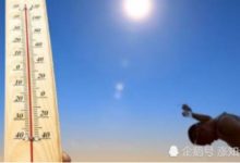 地球「高燒不退」？炎炎烈日致使持續高溫，人類彷彿身處在火爐-頭條楓林網