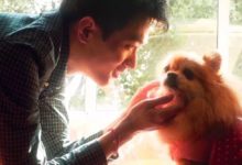 將中國妖魔鬼怪一一描繪，這個小哥的百鬼夜行，美哭大家-頭條楓林網