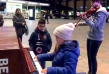 觸動人心的平凡樂音，因為平凡所以動聽-頭條楓林網