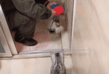 貓咪洗澡後，下水道竟然堵住了，於是......-頭條楓林網